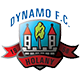 Dynamo Holany