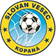 TJ Slovan Vesec